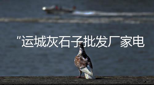 阜南苗集石子沙子零售、哈尔滨石子零售、灰石子零售、静海石子零售