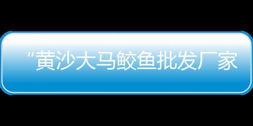 枣庄水泥厂水泥价格、阜康水泥房模具价格多少、洛阳墙面微水泥涂料价格、荆州水泥砖费用价格