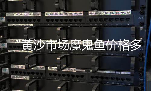 上海黄沙水泥找平、上海金山漕泾镇黄沙水泥、上海水泥黄沙搬运费、上海浦东哪里卖黄沙水泥