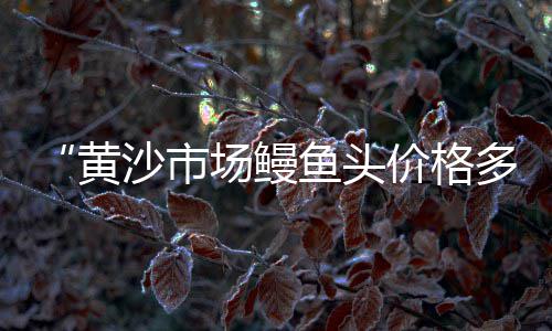 石子批发零售、和平周边石子批发零售、巨野哪里零售石子最多、汉沽石子零售商