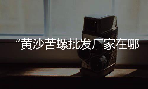 水泥黄沙 批发零售网站、白云黄沙零售多少钱、珠海黄沙零售热线电话、荣成水泥黄沙批发零售地址