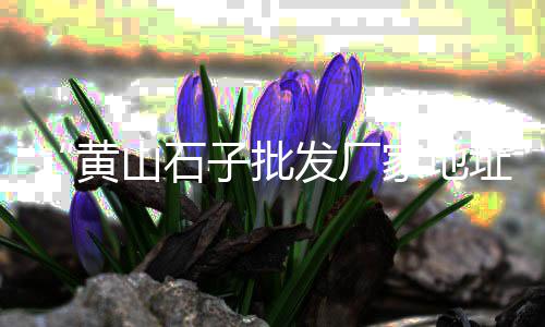 水泥配重块批发、鹤壁水泥构件批发、东张水泥批发、榆林批发水泥
