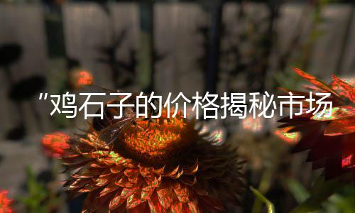嘉禾水泥批发、拱墅区装修水泥批发电话、聊城水泥地面增强剂批发、临沧水泥检查井批发厂家