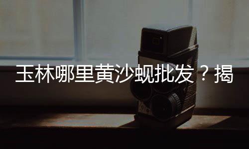 庆阳水泥粉煤灰价格、红狮水泥今日价格、云南曲靖水泥价格、江西水泥砖价格