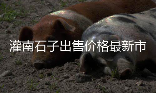 水泥石粉石子零售、驻马店石子零售电话地址、朔州石子零售电话是多少、石家庄零售沙子石子水泥