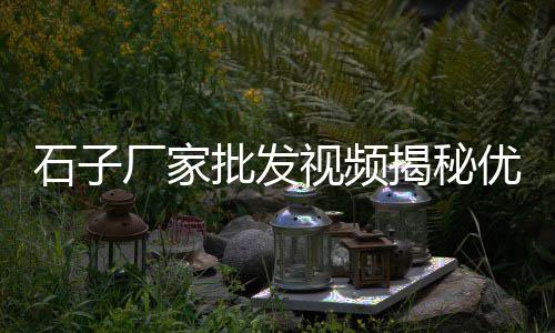 河北石子清运价格、临汾石子围墙价格、重庆天然石子价格、武安最近石子价格
