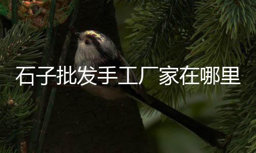 混凝土石子价格多少、邢台石子价格查询、宁晋石子价格查询、乌海灰石子价格