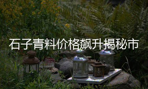 北京周边沙子石子批发、河北石灰石石子批发、延安石子批发厂家电话、新乡市石子批发厂家