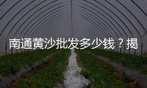 黄沙市场海鲜、黄沙市场投诉电话号码、广州黄沙市场有什么夜市、广州黄沙市场货拉拉竞争