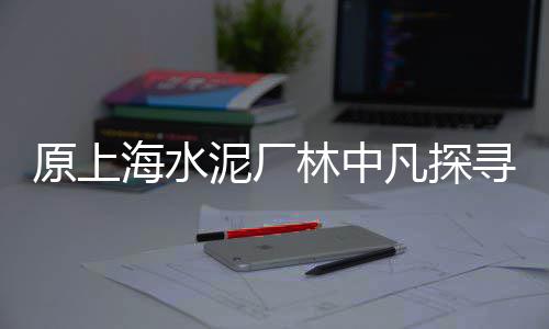 临猗黄沙批发市场电话、黄沙田螺批发价多少、汉阳区附近的黄沙批发、广州黄沙小象拔蚌批发
