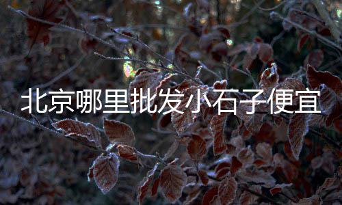 常州黄沙水泥批发零售店、批发零售黄沙防水瓷砖胶、镇江水泥黄沙批发零售、盱眙有没有零售黄沙粉