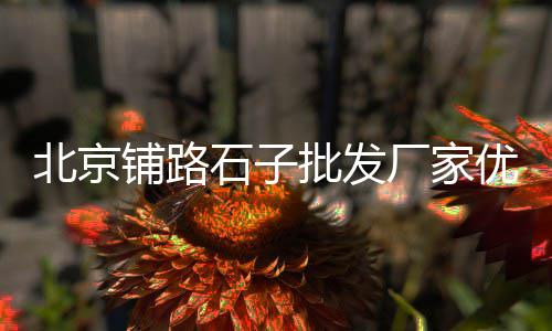 附近石子零售配送、津南区石子批发零售、河东石子批发零售、中山门石子零售