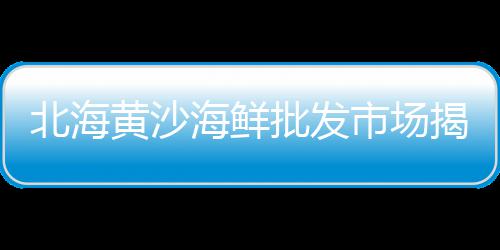 广州黄沙市场批发价格、南庄杏头黄沙市场、黄沙市场鲜活扇贝批发、广州黄沙市场贝壳街
