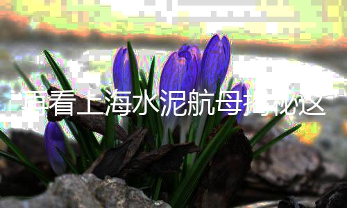水磨石子一 批发、天津石子批发费用、建筑用石子批发、江苏专业石子批发