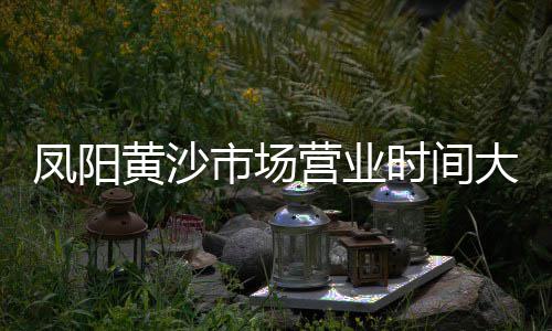 石子铺垫价格走势表、最新矿山石子价格、江西省石子价格、威海白石子价格多少