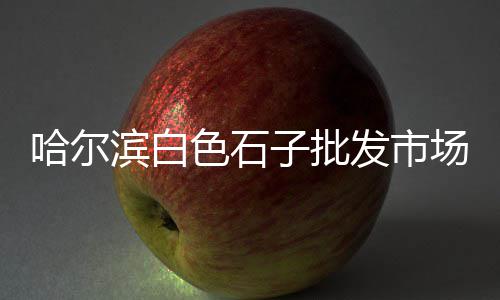 枣庄石子建材批发市场地址、市中区石子厂家批发市场地址、祥符二手红石子市场地址、鳌江二手石子市场地址电话
