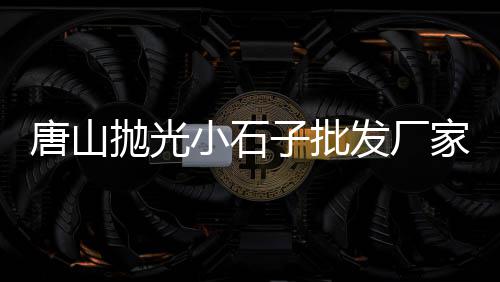水泥石子批发市场价格表、重庆巫山河沙石子批发市场地址、安徽省无为市石子批发市场地址、淄川区白石子厂家批发市场地址