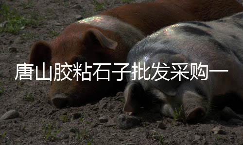 上海高速花岗岩石子价格、石子到上海车找人、上海染色石子哪家好、上海抛撒石子地坪公司