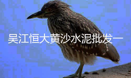 上海水泥砖购买渠道有哪些、上海水泥发泡管推荐、上海水泥建材直供平台、上海水泥场景地图高清