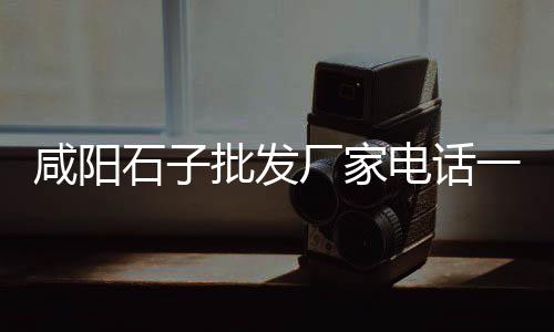 安阳水泥墙螺丝批发、龙岩水泥长廊厂家批发、承德水泥钉批发、江干区砌筑水泥批发