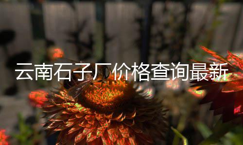 骨水泥市场空间、水泥搅拌桩市场价、龙岗水泥批发市场、济南水泥沙子市场
