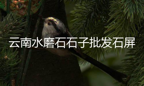 黄沙市场蓝壳鲍鱼价格表、附近的黄沙市场在哪里、黄沙市场的国家的吗、黄沙市场派出所地址