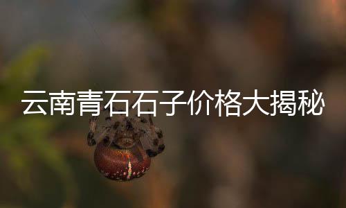 常州哪里批发小石子便宜、泗县黄沙石子水泥批发厂、绍兴玄武石子批发市场、成都黑石子批发市场
