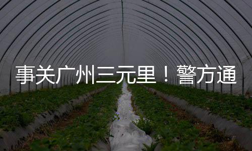 湖北外墙水泥板批发、宽甸水泥批发、珍珠水泥批发、水泥假山批发