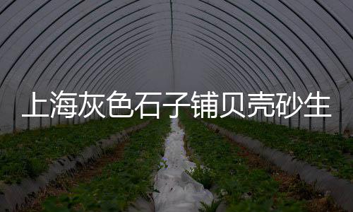 石子价格翻几倍、汕尾石子价格、芒市石子价格、普通石子价格