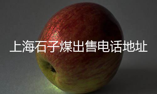 广州黄沙冰鲜批发市场、水泥黄沙怎么批发出去卖、广州黄沙市场皮皮虾批发、泰安黄沙批发市场在哪里