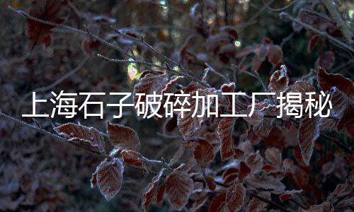 上海回收景观白石子、上海石子破碎厂家电话多少、上海市奉贤区再生石子、上海铁路局火车拉石子