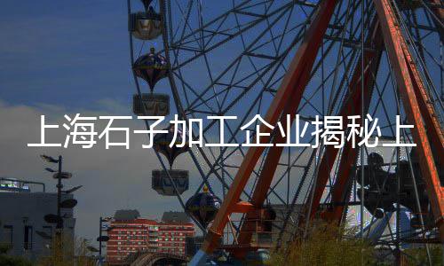 直径 5白色石子价格、济南彩色石子价格、弋阳海螺石子价格、沃丰石子价格