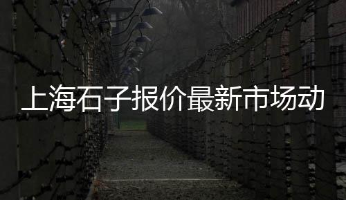 驻马店石子零售店地址查询、章丘石子零售电话是多少、朔州石子零售电话号码、大张庄石子零售商