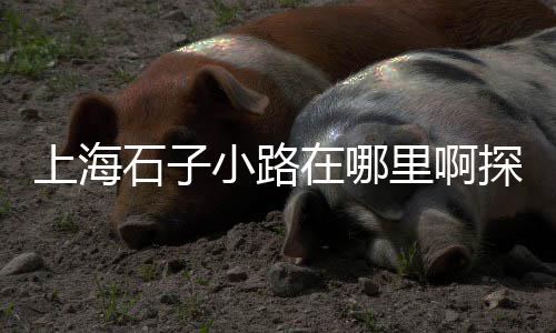 户县水泥批发、汉口隧道水泥批发、扬州水泥檩条批发、大理沙石水泥批发