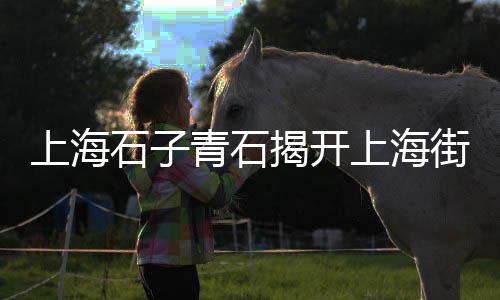 上海水泥雕源头厂家、上海水泥地面石材价格、上海水泥管机械工厂、上海水泥门过梁图片大全