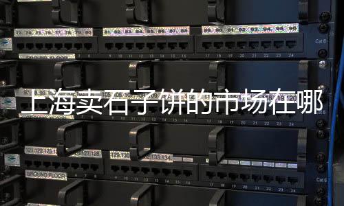 东立水泥价格查询最新、禹州水泥防尘布价格、广西玉林水泥价格走势、甘肃和政海螺水泥价格