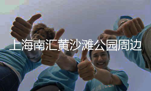利川白石子批发市场在哪里、石灰岩石子市场行情、山东石子批发市场、天津附近石子市场价多少