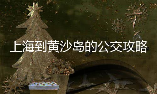 沈阳青石子批发市场、平阴县石子厂家批发、临沂河东白石子批发、珠海市金湾区石子批发