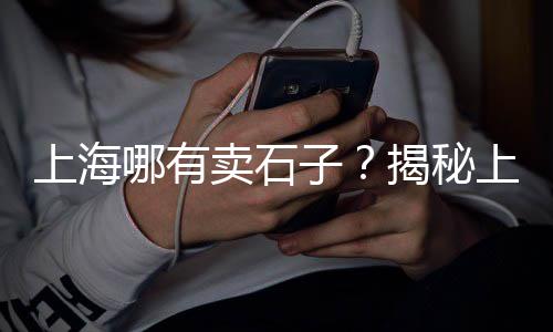 上海水泥涂装、上海水泥管胶圈厂家地址、上海水泥自流平厂家排名、上海水泥嵌草砖厂家排名