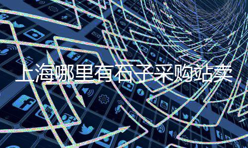 黄沙市场规模分析报告模板、黄沙市场小蓝龙价格查询、黄沙市场王总事件视频播放、黄沙市场买鹅肝的店铺