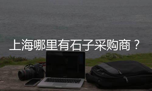 上海水泥棚装修效果图片、上海水泥仓规格型号表、上海水泥建材招司机吗最近、上海水泥毯厂家地址和电话