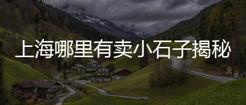 长垣沙土石子批发电话、长垣石子批发市场在哪、昆明水洗黑石子批发厂家、重庆批发石子价格表大全