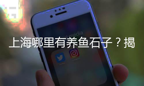 上海哪里有石子买、上海奉贤石子研磨加工厂、上海磨石子老板是谁啊、上海浦东新区再生石子