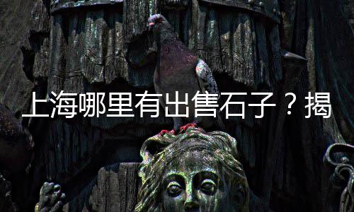 河源黄沙市场改造项目、黄沙市场杂鱼批发价格、石斑鱼广东黄沙市场有卖吗、黄沙市场沙甲批发价格