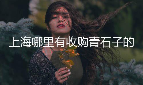 菏泽彩色石子价格多少、金华石子石粉价格、南通正宗石子价格、现在石子价格图片