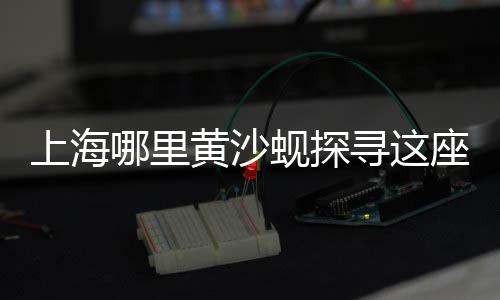 水泥烟管批发、朔州水泥砖塑料托板批发、青州水泥连锁砖批发商、北京水泥马路切割机批发