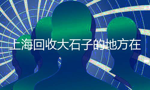 普兰店零售石子、河北码头批发零售石子、汉沽石子零售商、蒲城石子饼零售批发
