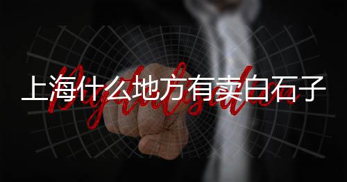 上海哪里有卖黄沙石头的、附近黄沙批发上海、上海买黄沙的码头、水泥黄沙上海配送员