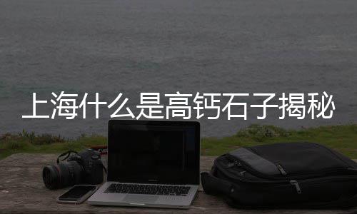 武隆水磨石石子批发市场、渭南菜市场石子馍哪家好吃、石涧石子批发市场电话、石子青石批发市场地址