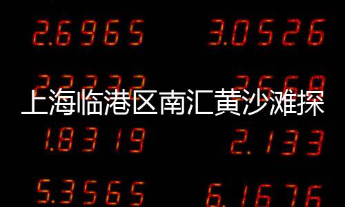 本溪石子价格、工地石子价格、豆石子价格、大树石子价格